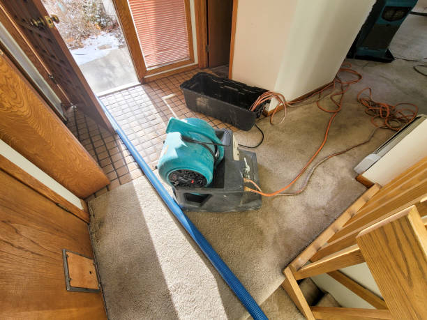 Best Residential water damage restoration  in Beaufort, NC