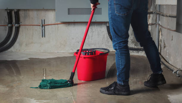 Best Flooded house restoration  in Beaufort, NC