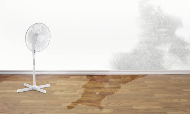 Best Water damage restoration near me  in Beaufort, NC