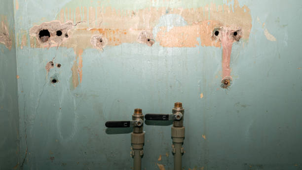 Best Local water damage restoration  in Beaufort, NC