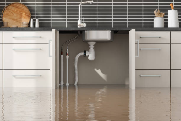 Best Professional water damage repair  in Beaufort, NC